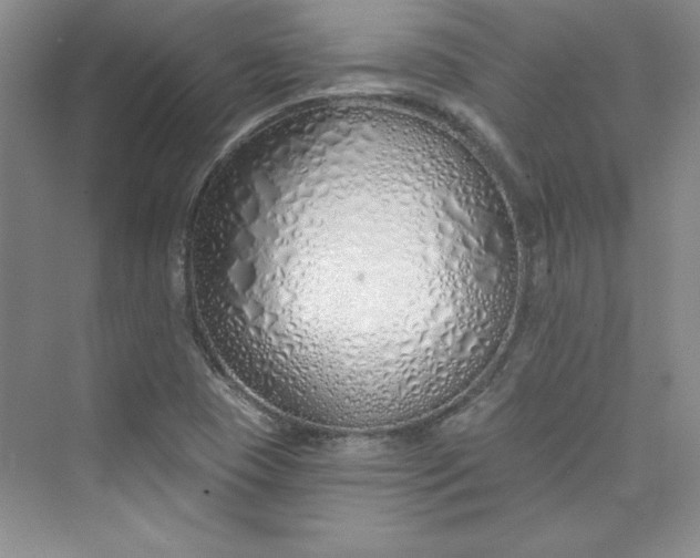 X0000075401409200609251006