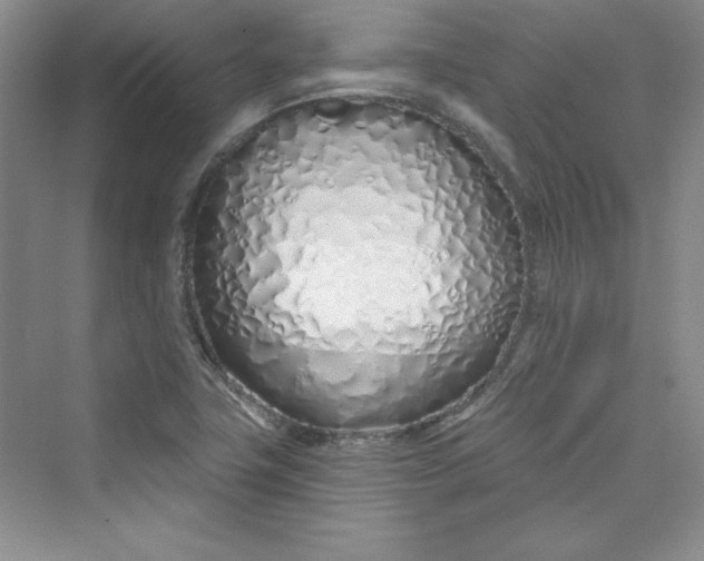 X0000075401411200609251006