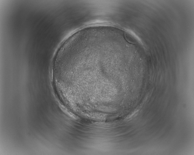 X0000075401413200609251006