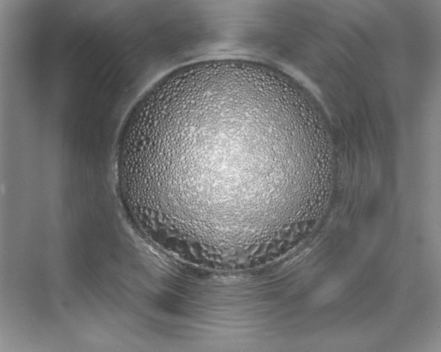 X0000075401415200609251006