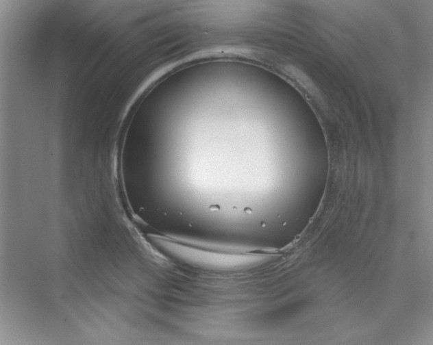 X0000075401420200609251006