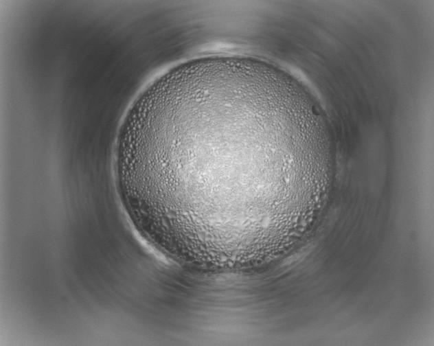 X0000075401421200609251006