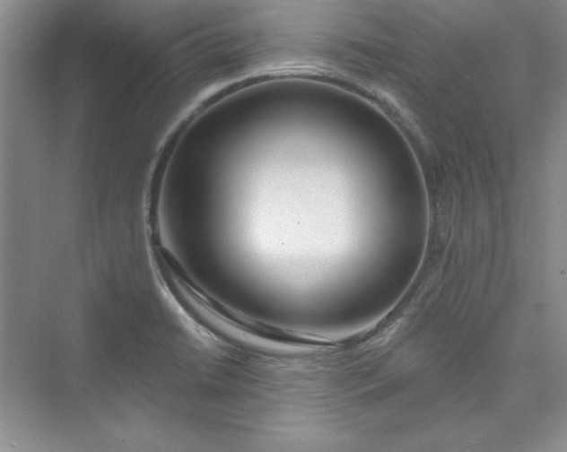 X0000075401422200609251006