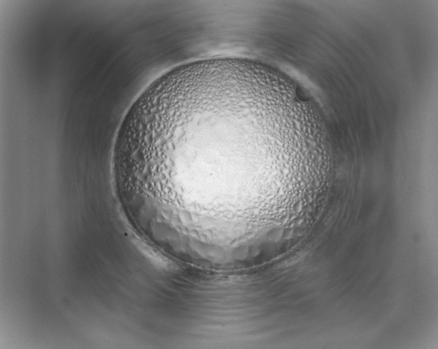 X0000075401423200609251007