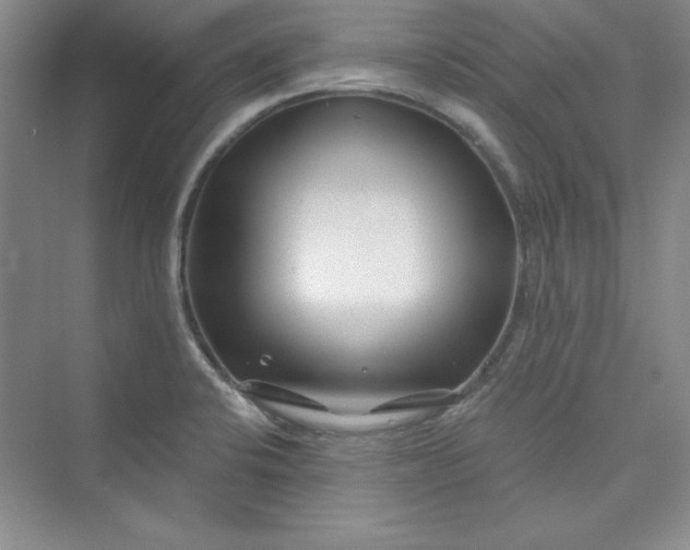 X0000075401424200609251007