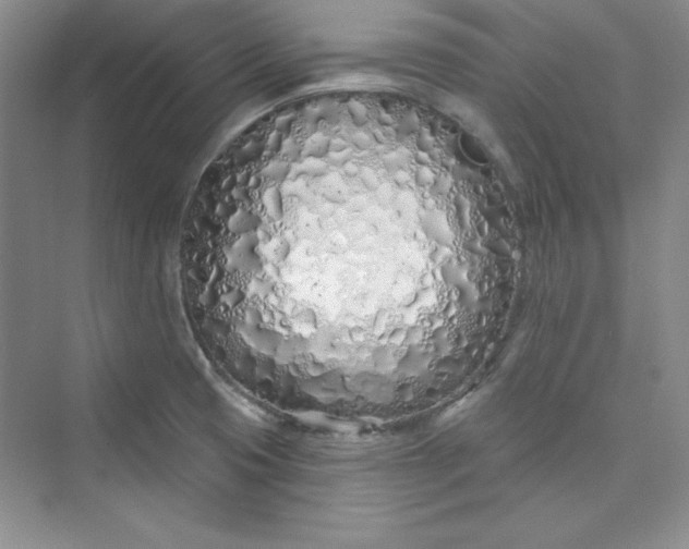 X0000075401425200609251007