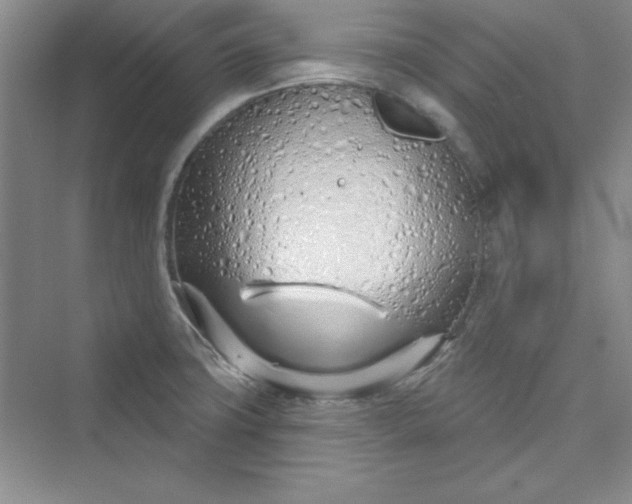 X0000075401427200609251007