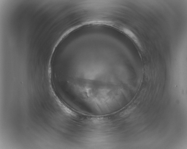 X0000075401428200609251007