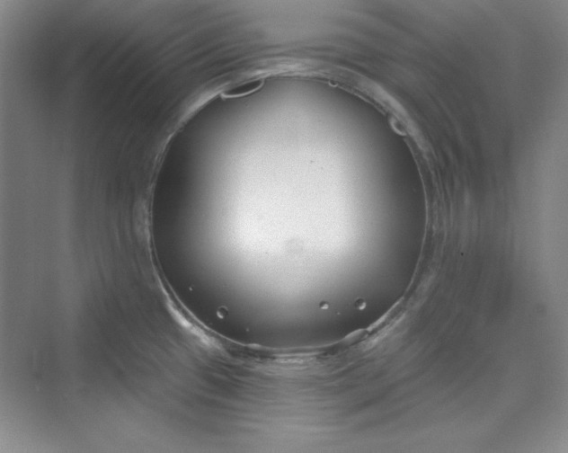 X0000075401433200609251007