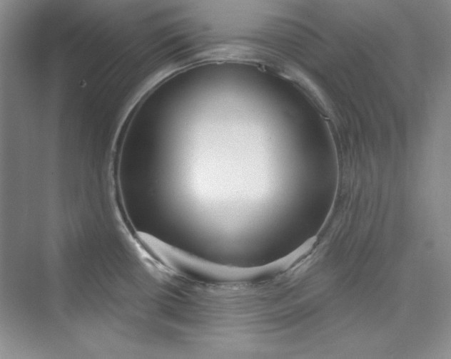 X0000075401434200609251007