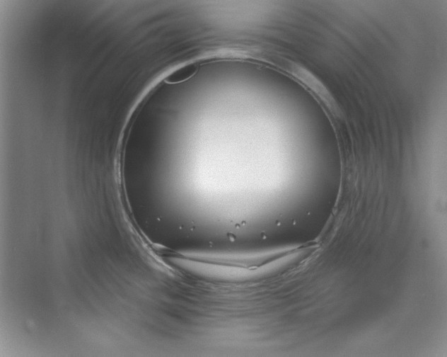 X0000075401436200609251007