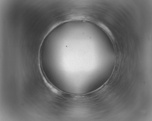 X0000075401439200609251007