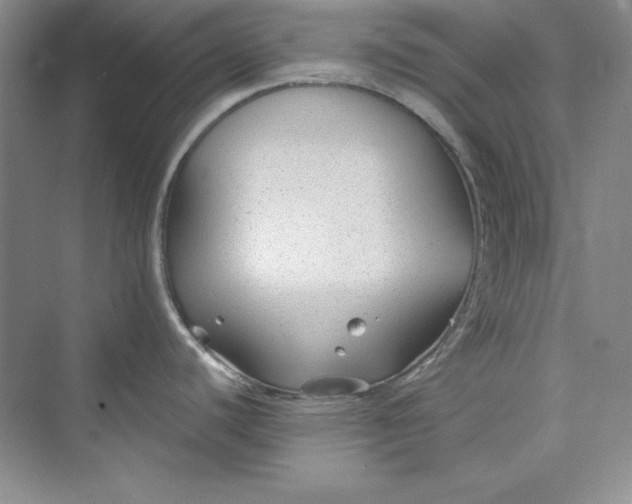 X0000075401440200609251007