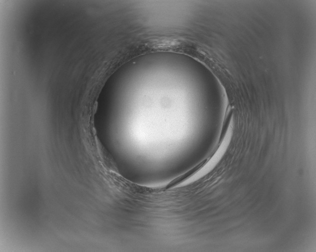 X0000075401441200609251006