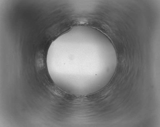 X0000075401442200609251006