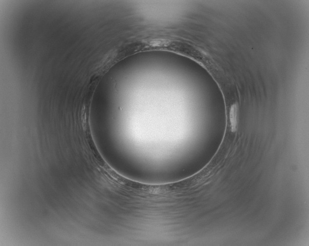 X0000075401443200609251006