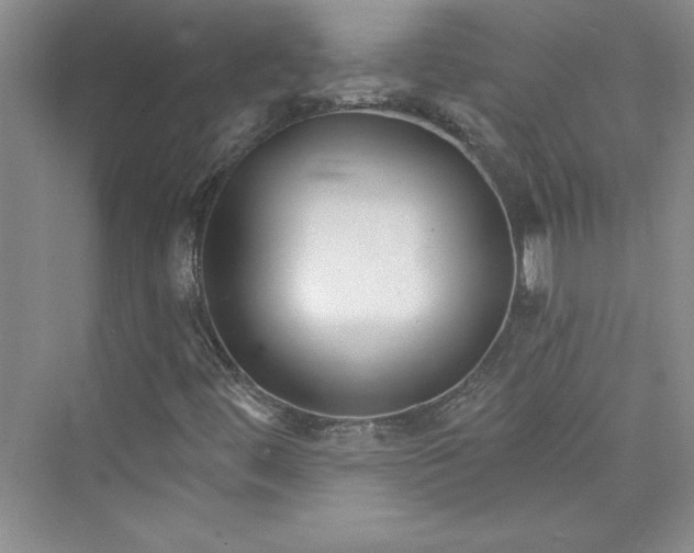 X0000075401444200609251006