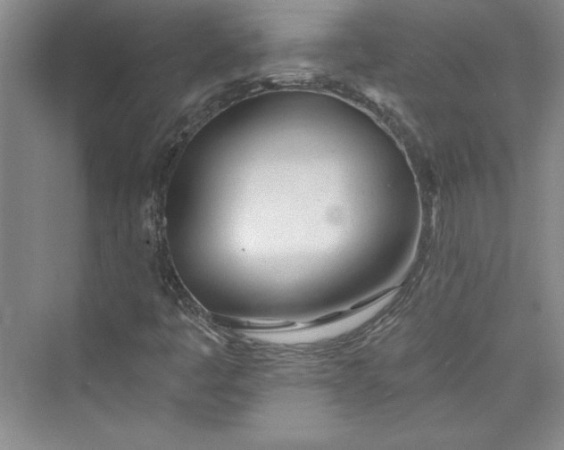 X0000075401445200609251006