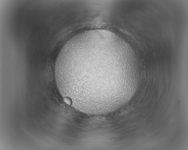 X0000075401446200609251006