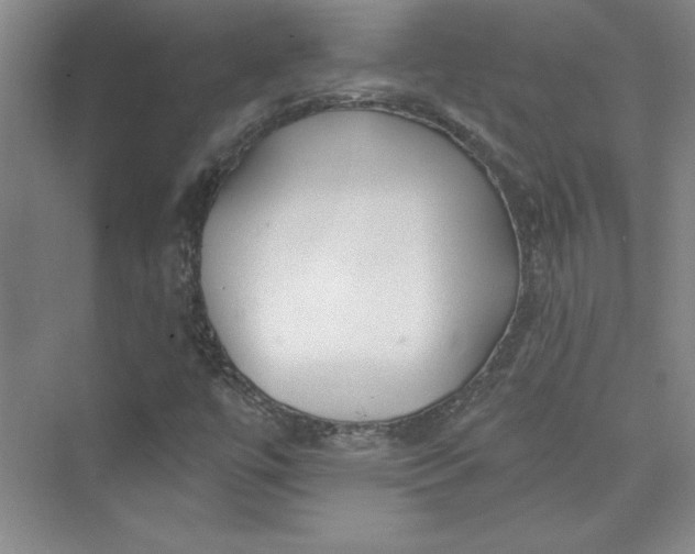 X0000075401447200609251006