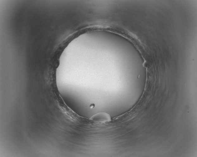 X0000075401448200609251006