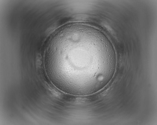 X0000075401449200609251006