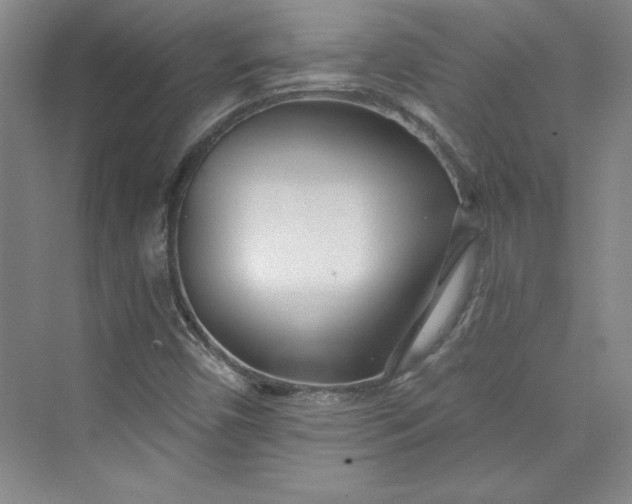 X0000075401450200609251006