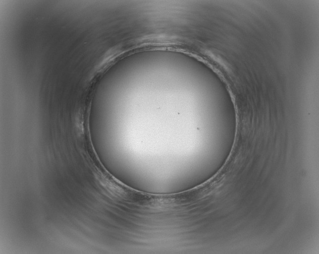 X0000075401451200609251006