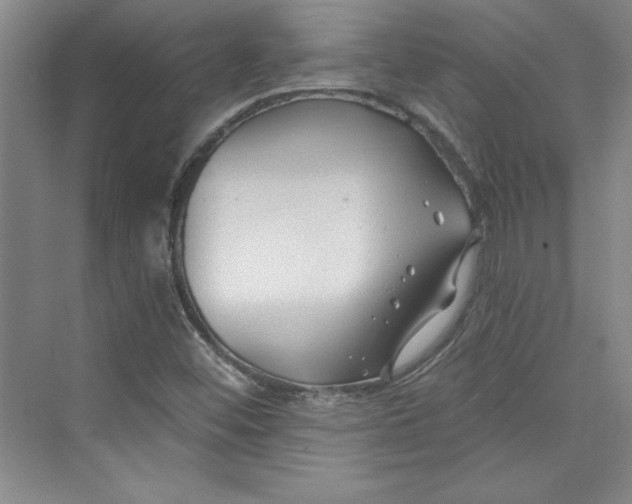 X0000075401452200609251006