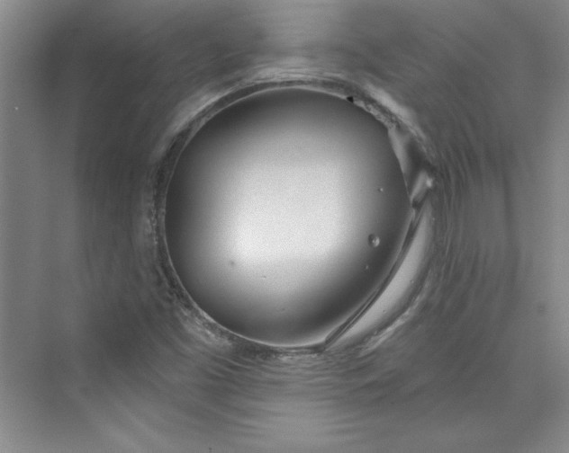 X0000075401453200609251006