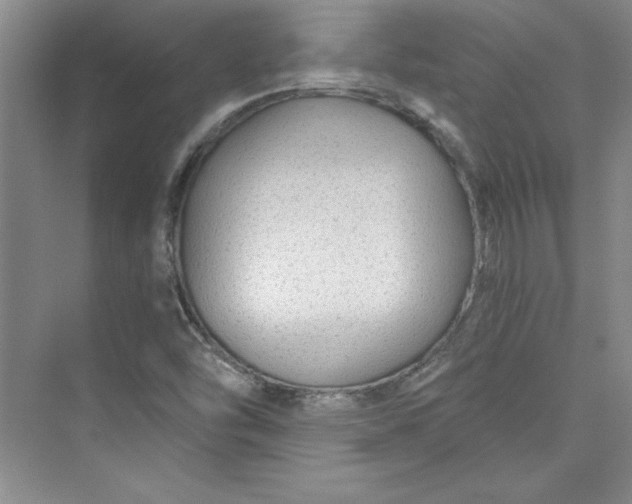 X0000075401454200609251006