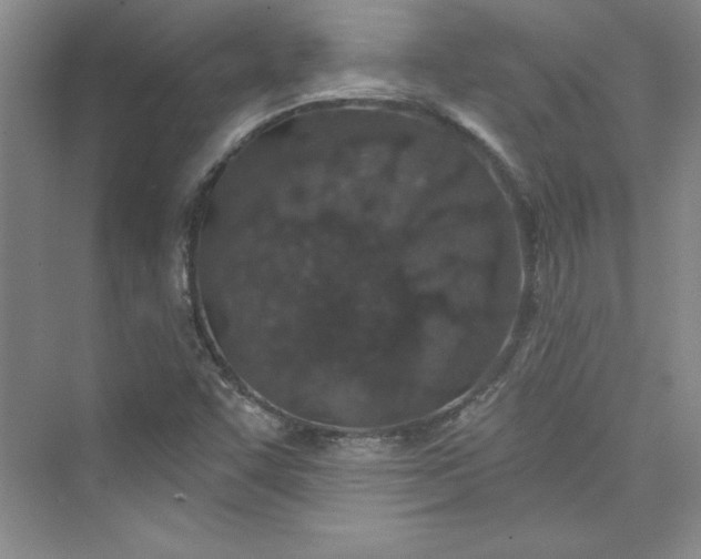 X0000075401455200609251006