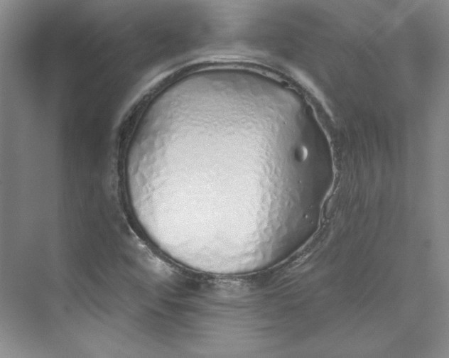 X0000075401456200609251006