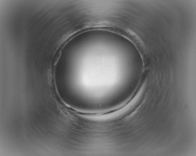 X0000075401457200609251006