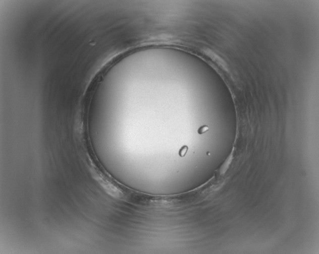 X0000075401458200609251006