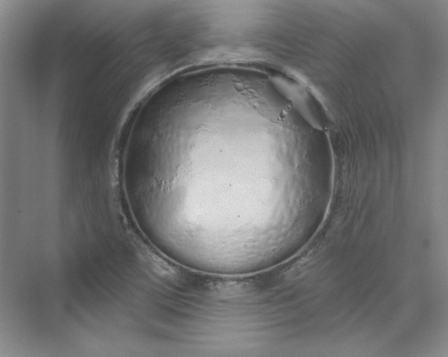 X0000075401459200609251006