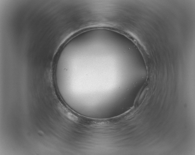 X0000075401460200609251006