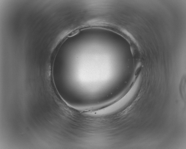 X0000075401461200609251006