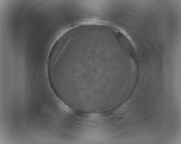 X0000075401463200609251006