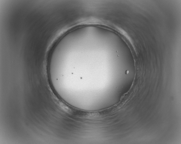 X0000075401464200609251006