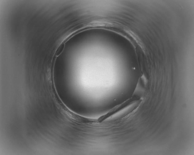 X0000075401465200609251006