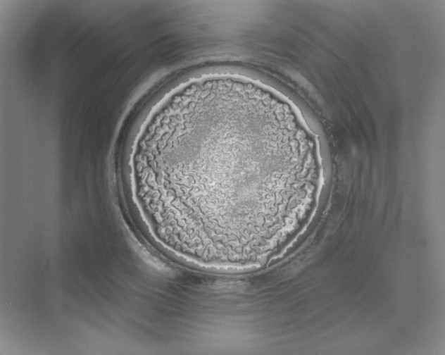 X0000075401466200609251006