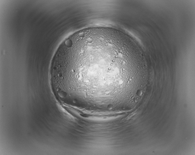 X0000075401471200609251005