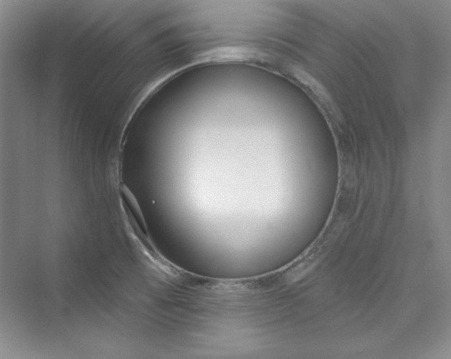 X0000075401473200609251005