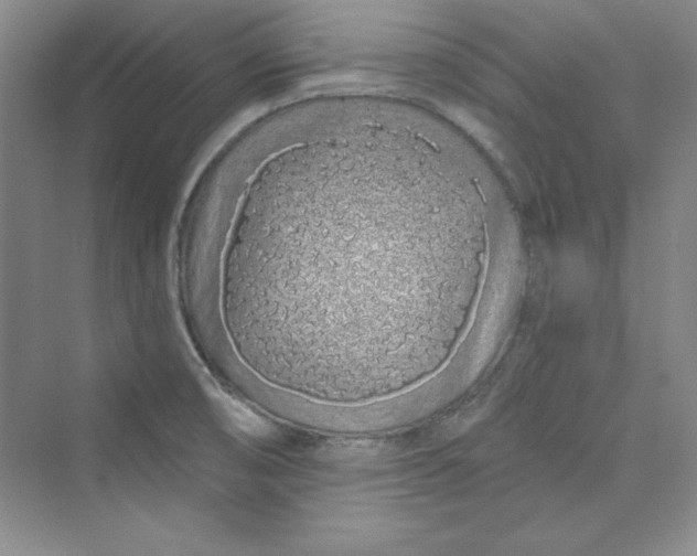 X0000075401474200609251005