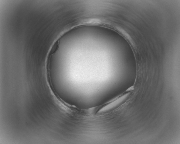 X0000075401475200609251005