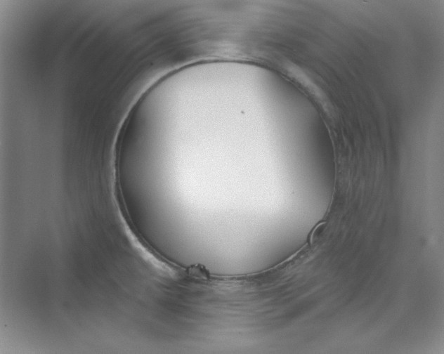 X0000075401479200609251005