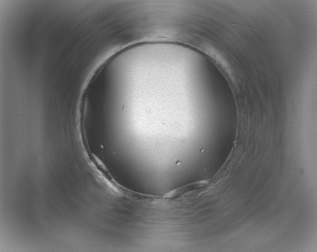 X0000075401480200609251005