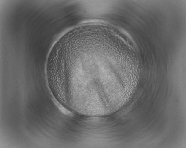 X0000075401482200609251005