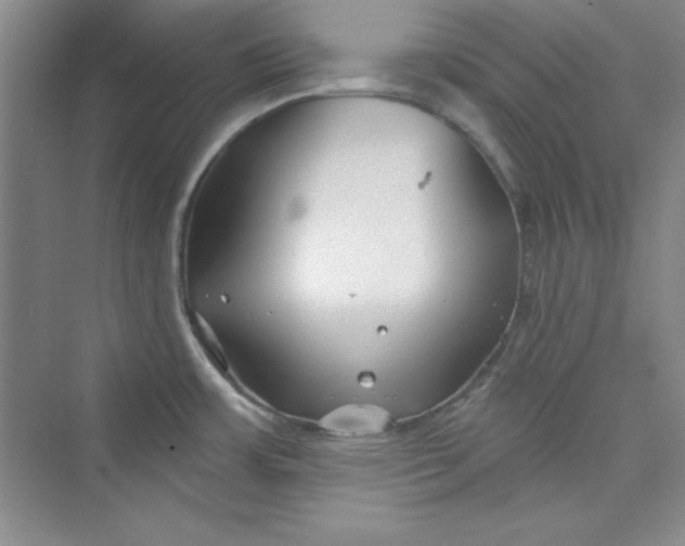 X0000075401483200609251005